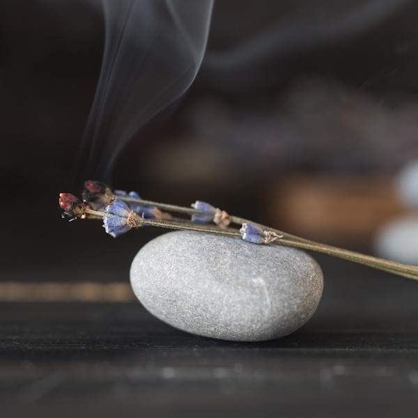 medicina tradicional china cuadro