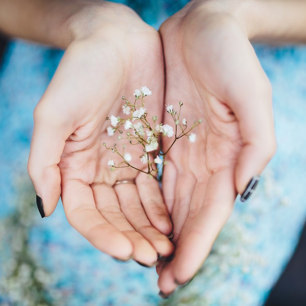 terapia individual cuadro